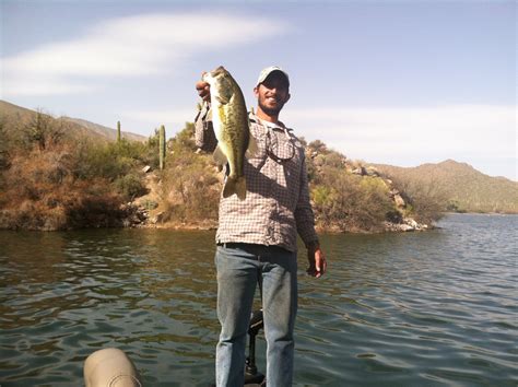 guided fishing|Arizona Fishing: Guides For Bass And Trout .